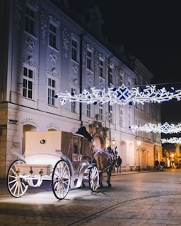 horse with carriage near building