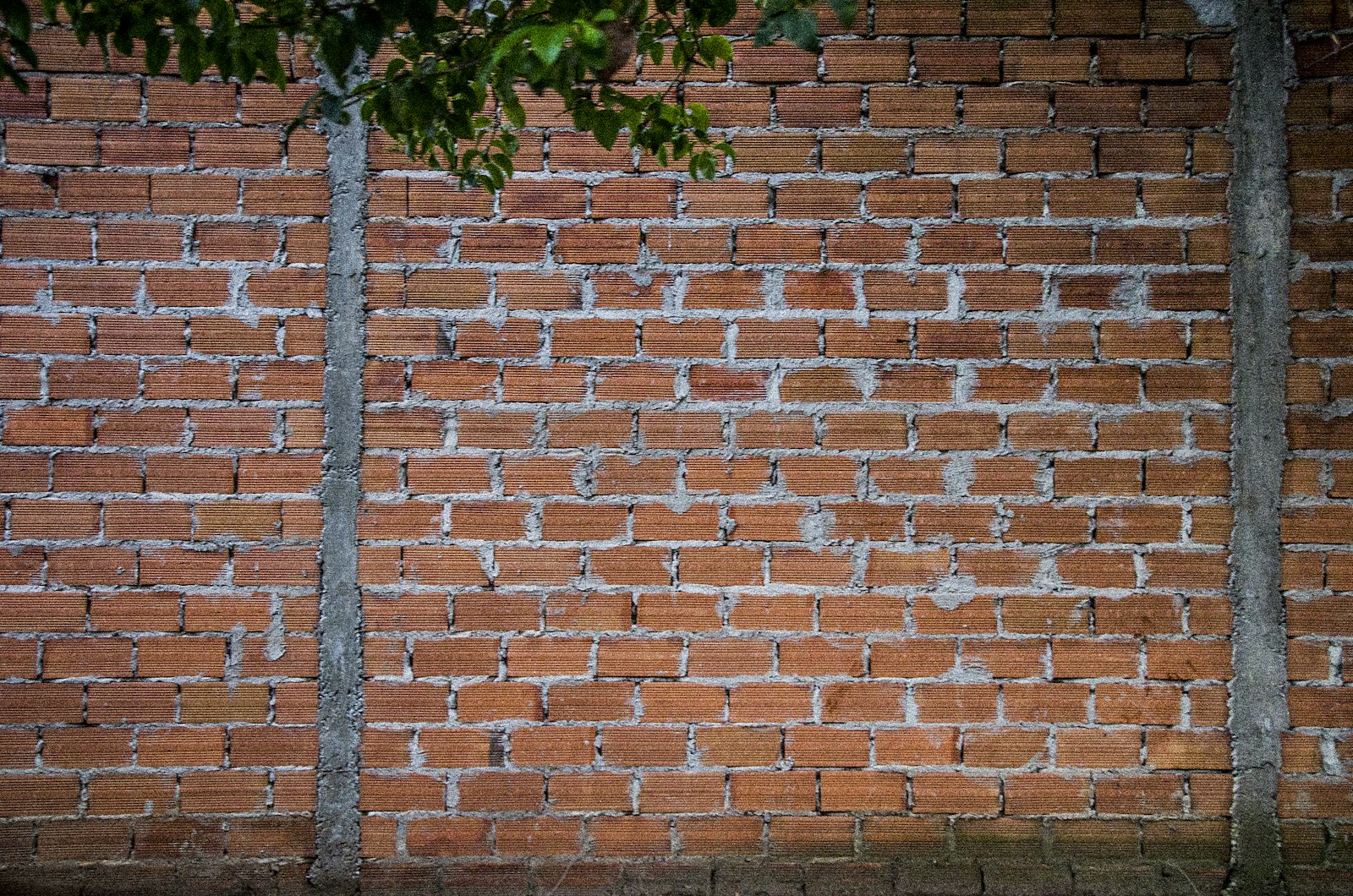 Nikon D7000 sample photo. Brown brick wall photography