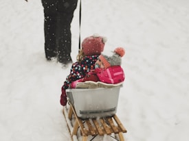 Two children, warmly dressed in winter clothing, sit together in a sled on a snowy path. The older child is wearing a bright, patterned jacket and a red hat with ears, while the younger child is bundled up in a pink snowsuit and gray hat with an orange pom-pom. Snow gently falls around them, and an adult is partially visible standing in the background, pulling the sled.