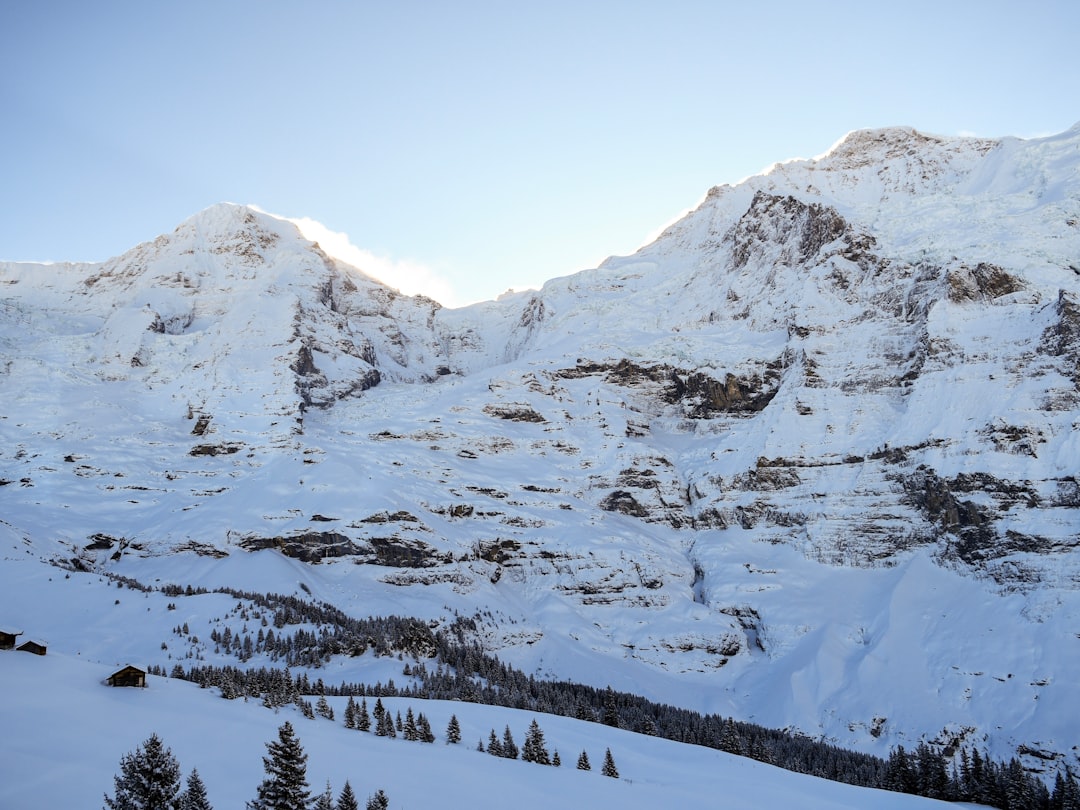 Hill station photo spot Jungfrau Aletsch Glacier