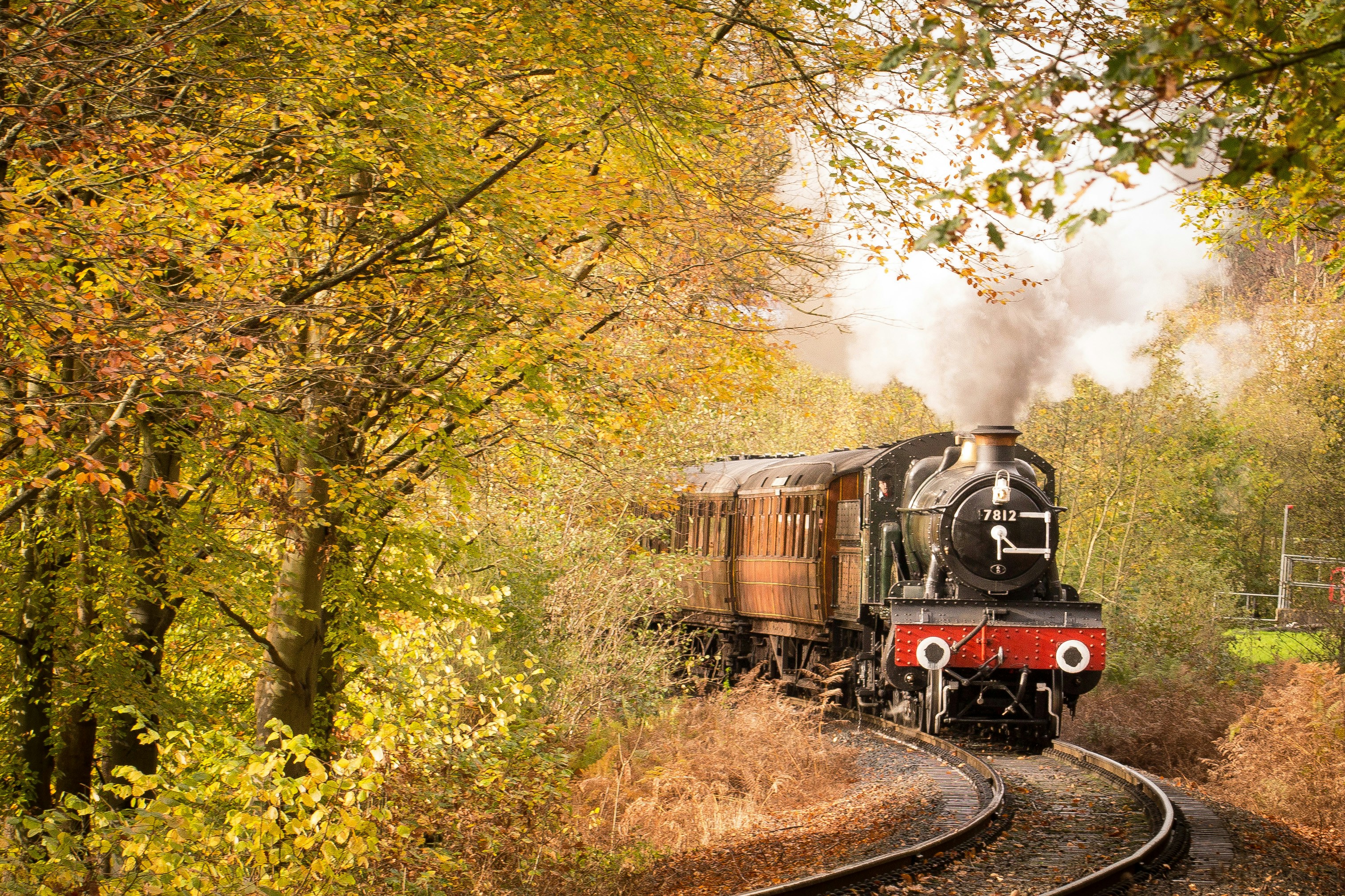 Autumn steam train