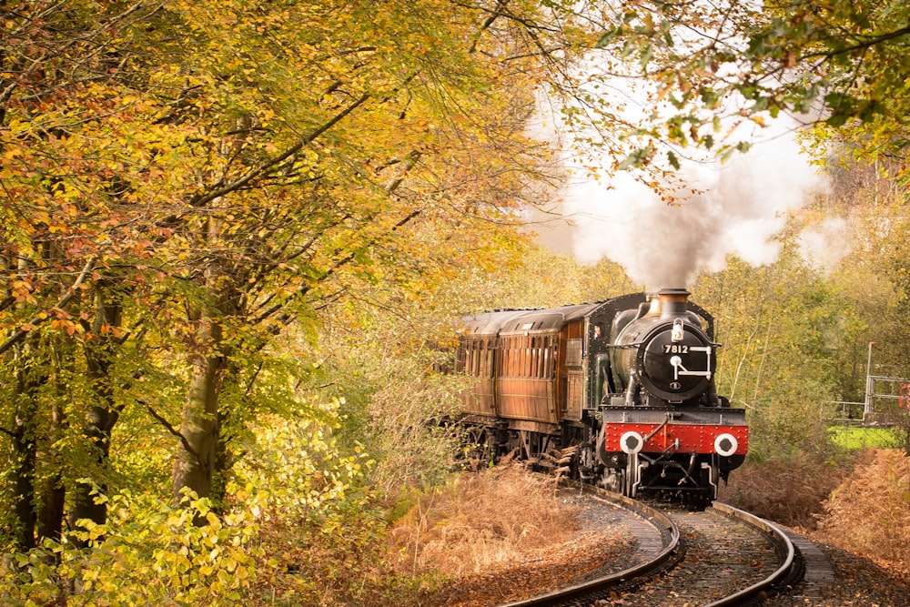 gray and black train surrounded with trees during daytime