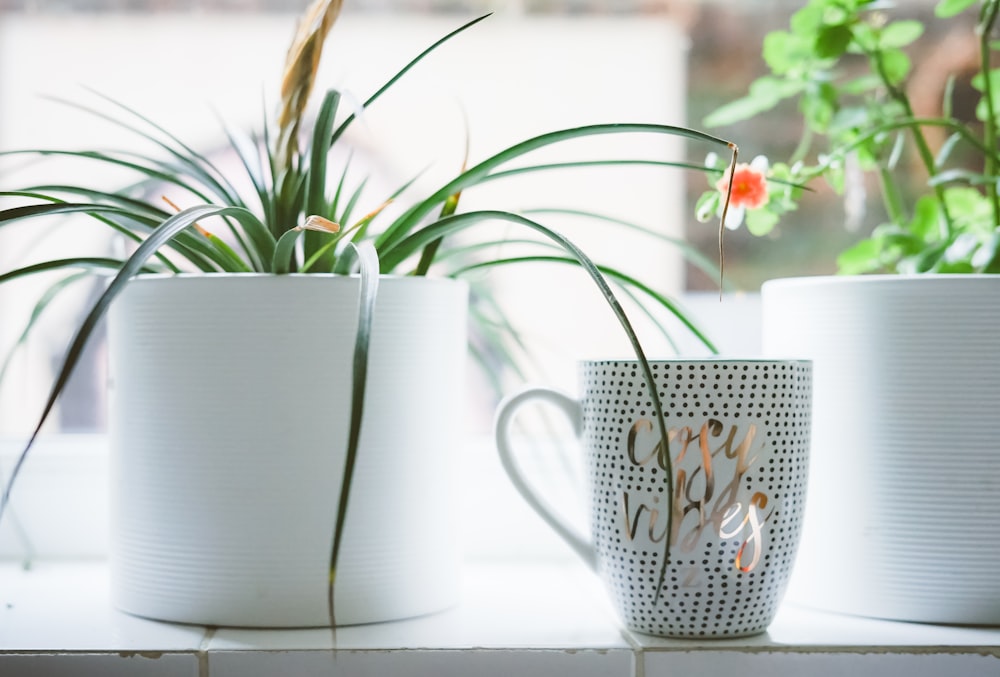 Taza de cerámica blanca y plateada cerca de la maceta