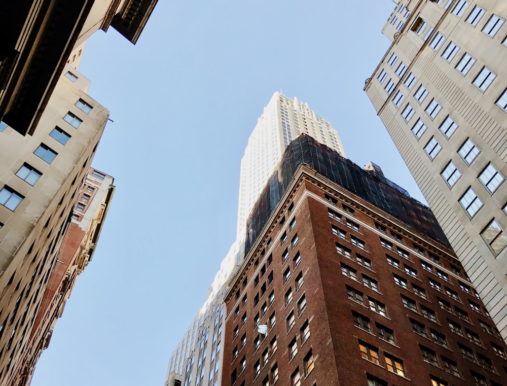 low angle photography of high rise buildings