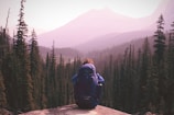 man standing on top of mountain with pine trees view