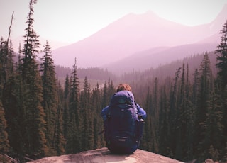 man standing on top of mountain with pine trees view