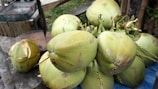 Close-up of freshly harvested young green coconuts stacked in a crate.