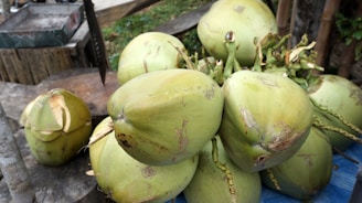 A cluster of fresh green coconuts is placed on a rustic wooden surface with a cutting tool nearby. The coconuts have a natural texture and show some marks and imperfections on their surface. In the background, there are elements of a natural setting like wooden boards and greenery.