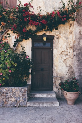 Rustic wooden door framed by vibrant flowers on a quiet Lefkes lane.