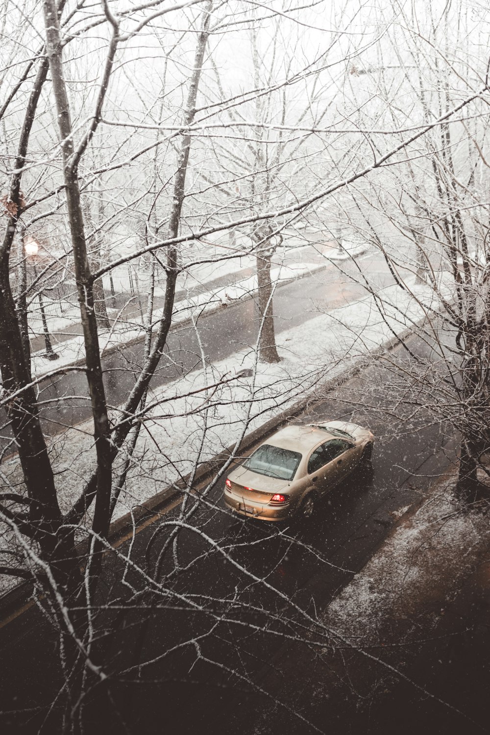 brown sedan running on the street surrounded with bare trees during winter