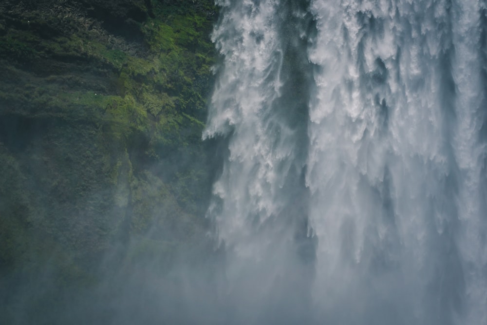 waterfalls near green trees at daytime