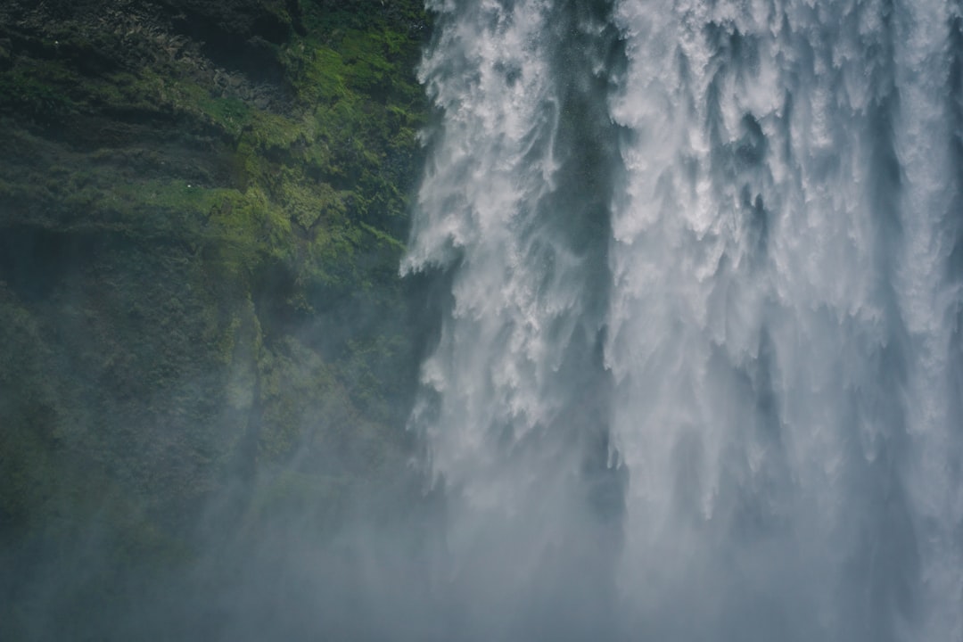 Forest photo spot Skógafoss Iceland