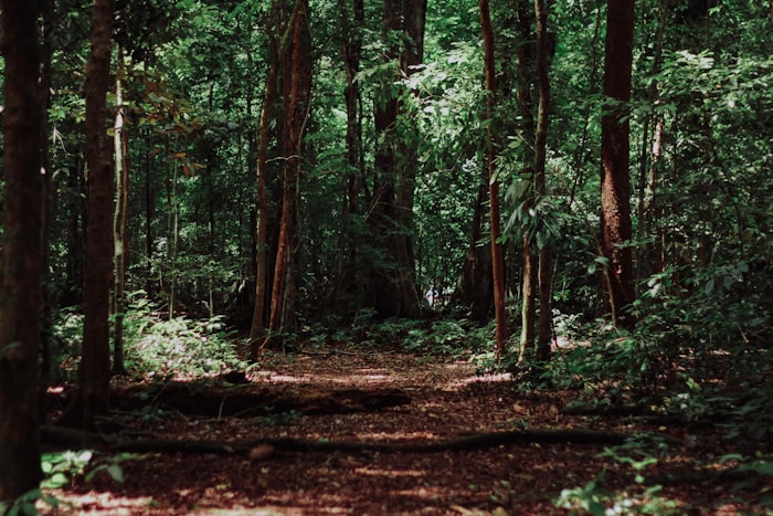 Diskusi kelompok tani hutan sosial