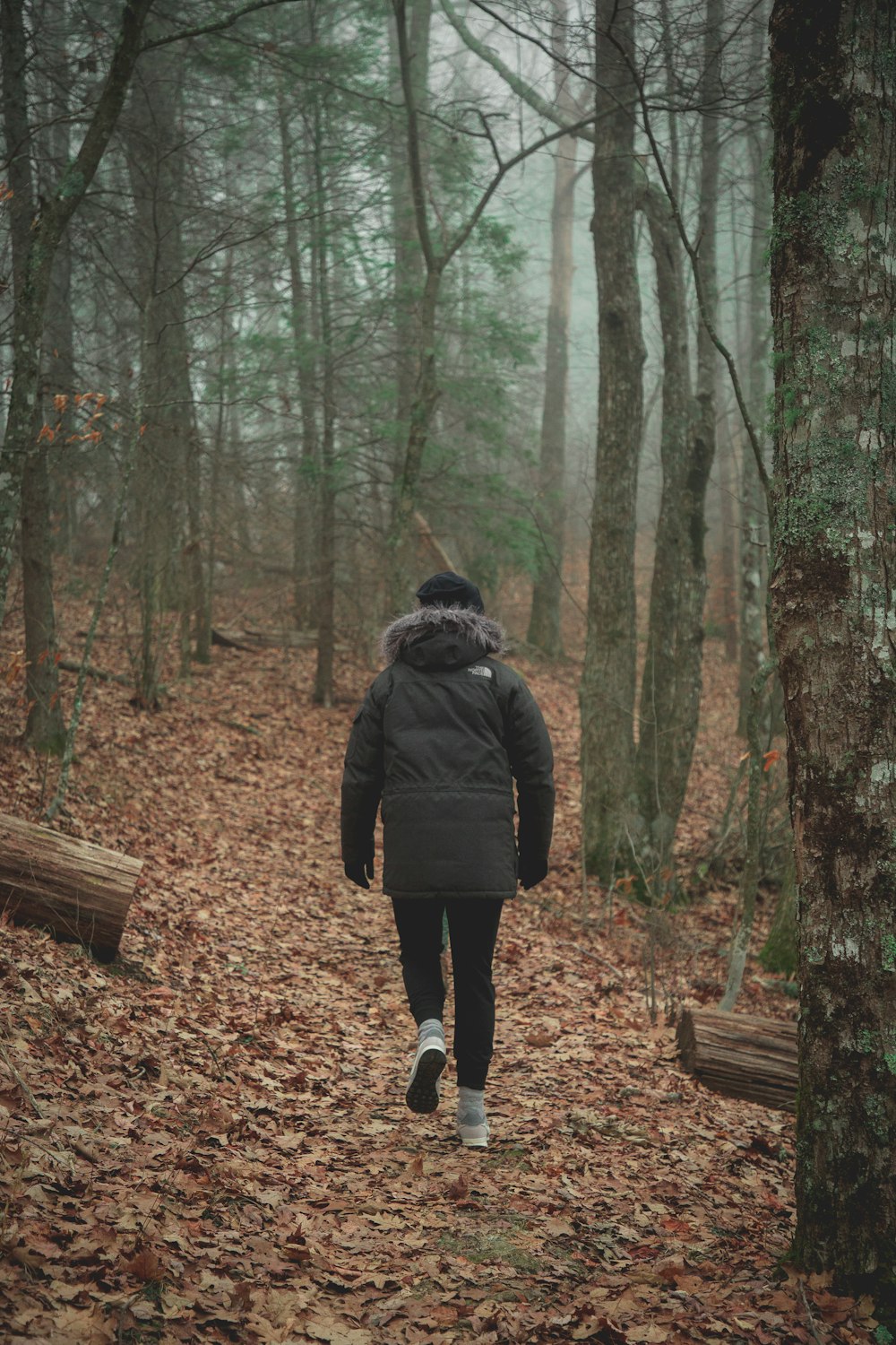 person in black jacket and black pants standing on forest during daytime