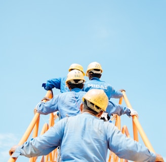 group of person on stairs