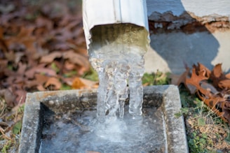 A close-up view of a downspout with water frozen into icicles. The icicles form near the base of the downspout, collecting in a small, rectangular stone or concrete basin. Fallen autumn leaves and green grass are visible in the background, suggesting the image was taken during a transitional weather period.