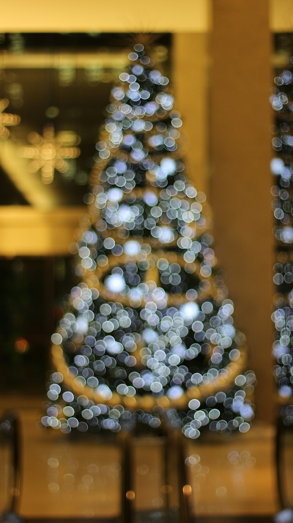 a lit up christmas tree in front of a building