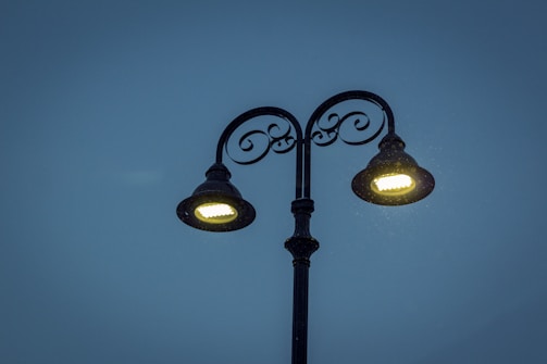 black 2-light street lamp turned on during night