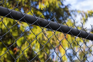 A chain-link fence with metal wires forming a diamond pattern is prominently featured. In the background, there are blurred trees with green foliage, and the sky is lightly clouded.