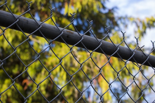 A chain-link fence with metal wires forming a diamond pattern is prominently featured. In the background, there are blurred trees with green foliage, and the sky is lightly clouded.