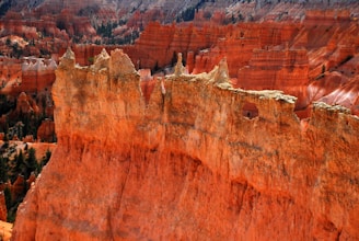 A stunning view of Bryce Canyon with its distinctive orange and red rock formations arranged in a series of tall, narrow spires known as hoodoos. The image captures the intricate and rugged details of the landscape, highlighted by shadows that add depth and contrast to the scene.
