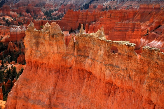A stunning view of Bryce Canyon with its distinctive orange and red rock formations arranged in a series of tall, narrow spires known as hoodoos. The image captures the intricate and rugged details of the landscape, highlighted by shadows that add depth and contrast to the scene.