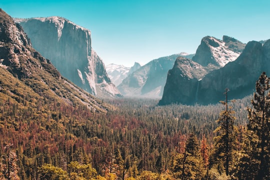 forest and mountain scenery in Yosemite National Park, Yosemite Valley United States