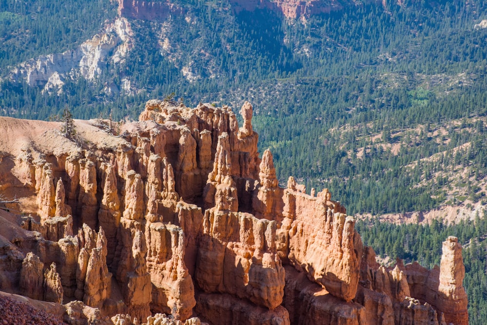 photo of rocky mountain near pine trees