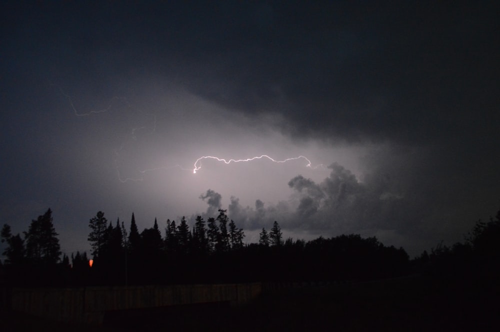 Foudre sur la forêt pendant la nuit