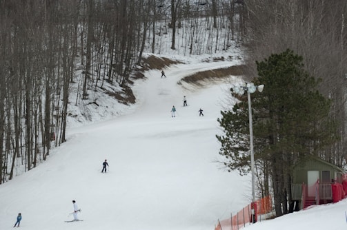 Experienced adult skiers training on challenging slopes.