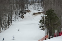 A snowy landscape with a wide skiing slope surrounded by leafless trees. Several skiers of various ages and skill levels are dispersed along the slope, descending or preparing to ski. On the right side, there is a small building with a red fence around it and a couple of trees.