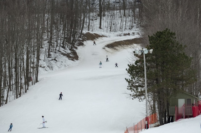 A snowy landscape with a wide skiing slope surrounded by leafless trees. Several skiers of various ages and skill levels are dispersed along the slope, descending or preparing to ski. On the right side, there is a small building with a red fence around it and a couple of trees.