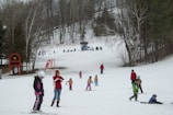 A snowy landscape with several people skiing and playing in the snow. Children and adults in colorful winter clothing are scattered across the slope, indicating a day of leisure and fun in a ski resort. Bare trees surround the area, with a small building visible in the background. Red banners and ski equipment are present, adding vibrant touches to the serene winter scene.