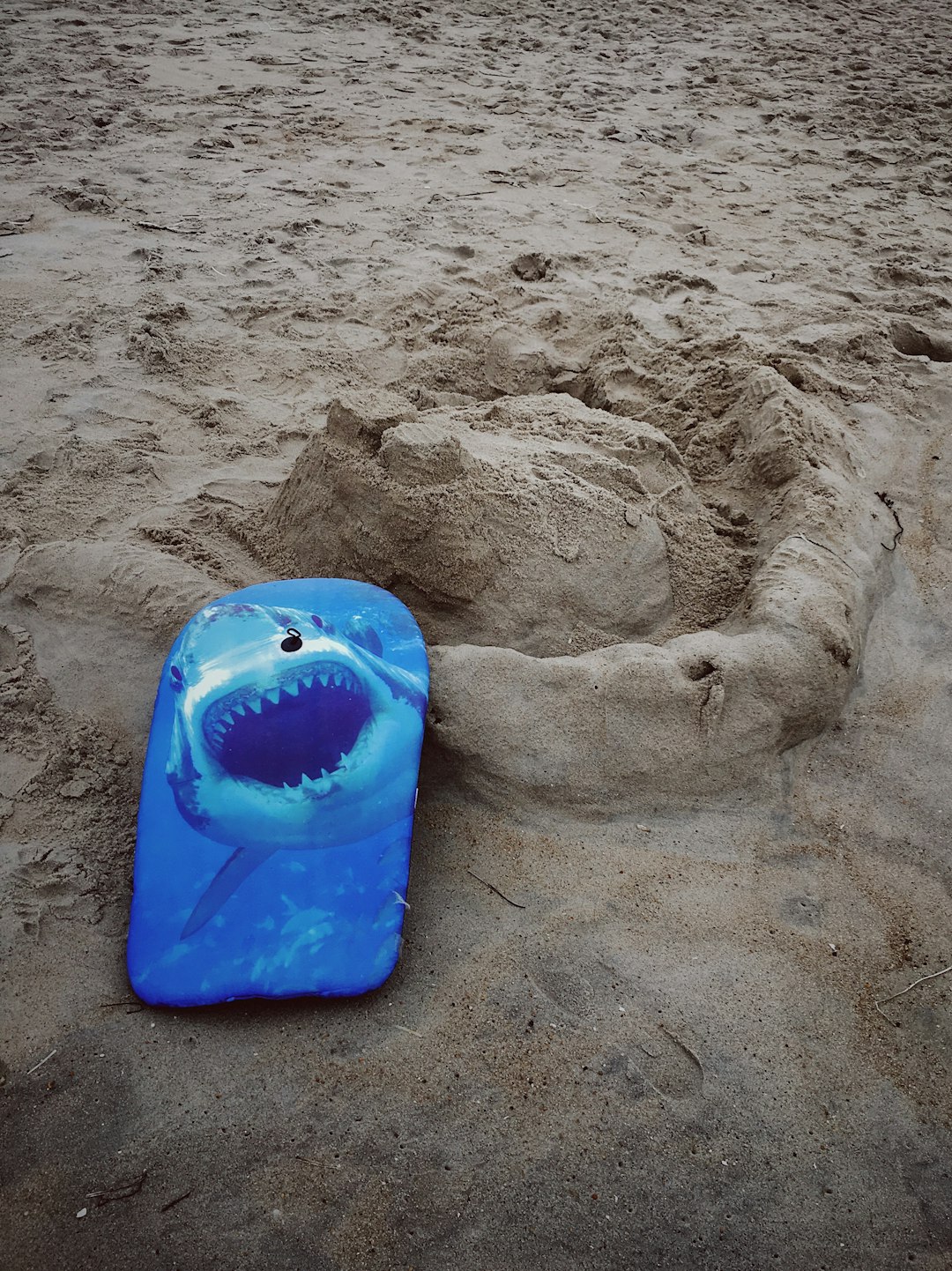 blue shark printed body board on sand