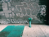 A closed metal roll-up door covered in white graffiti with various abstract shapes and writing. In front of it, there's a green fire hydrant positioned on a concrete sidewalk, next to a green metal service cover on the ground.