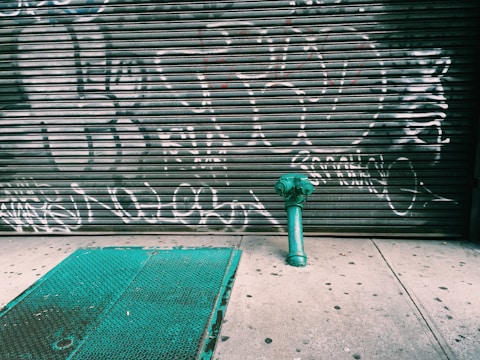 A closed metal roll-up door covered in white graffiti with various abstract shapes and writing. In front of it, there's a green fire hydrant positioned on a concrete sidewalk, next to a green metal service cover on the ground.