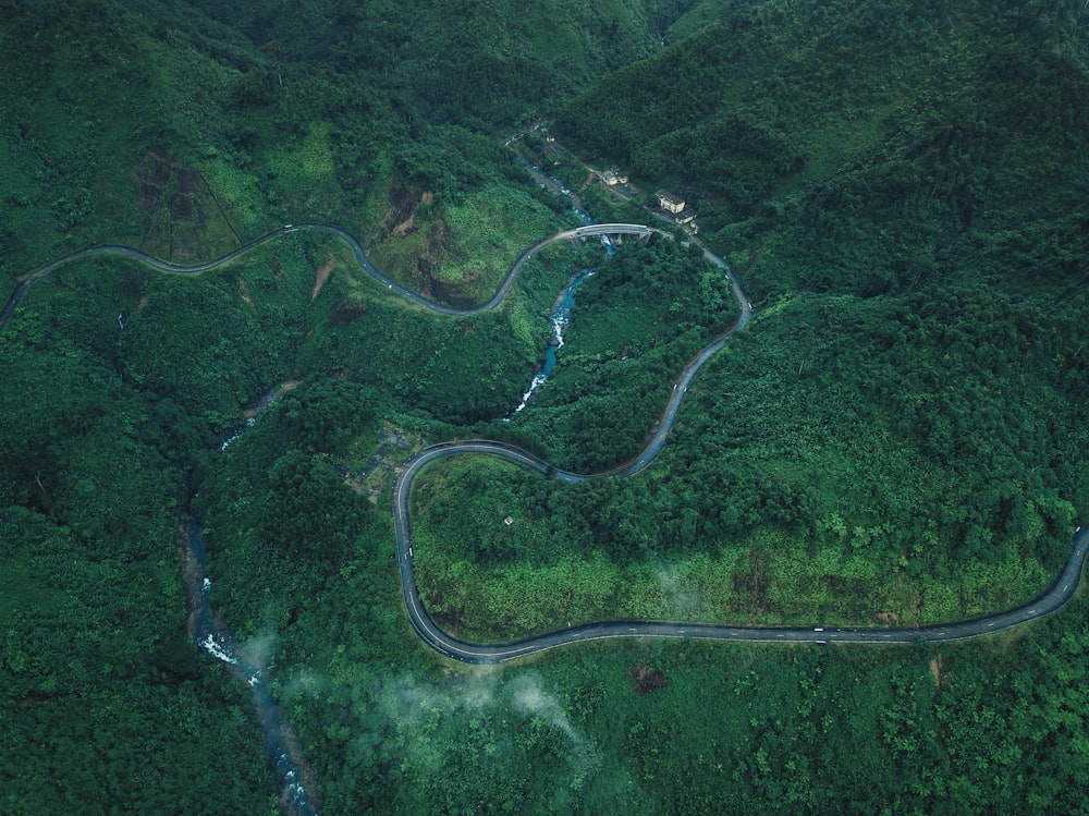 aerial photography of green grass field