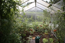 green watering can in green house