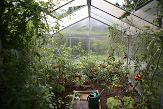 green watering can in green house
