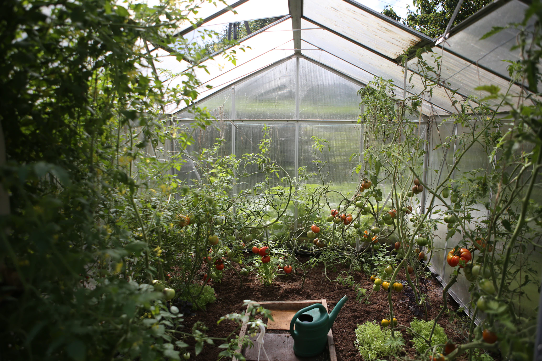 Agriculteur travaillant la terre à la main