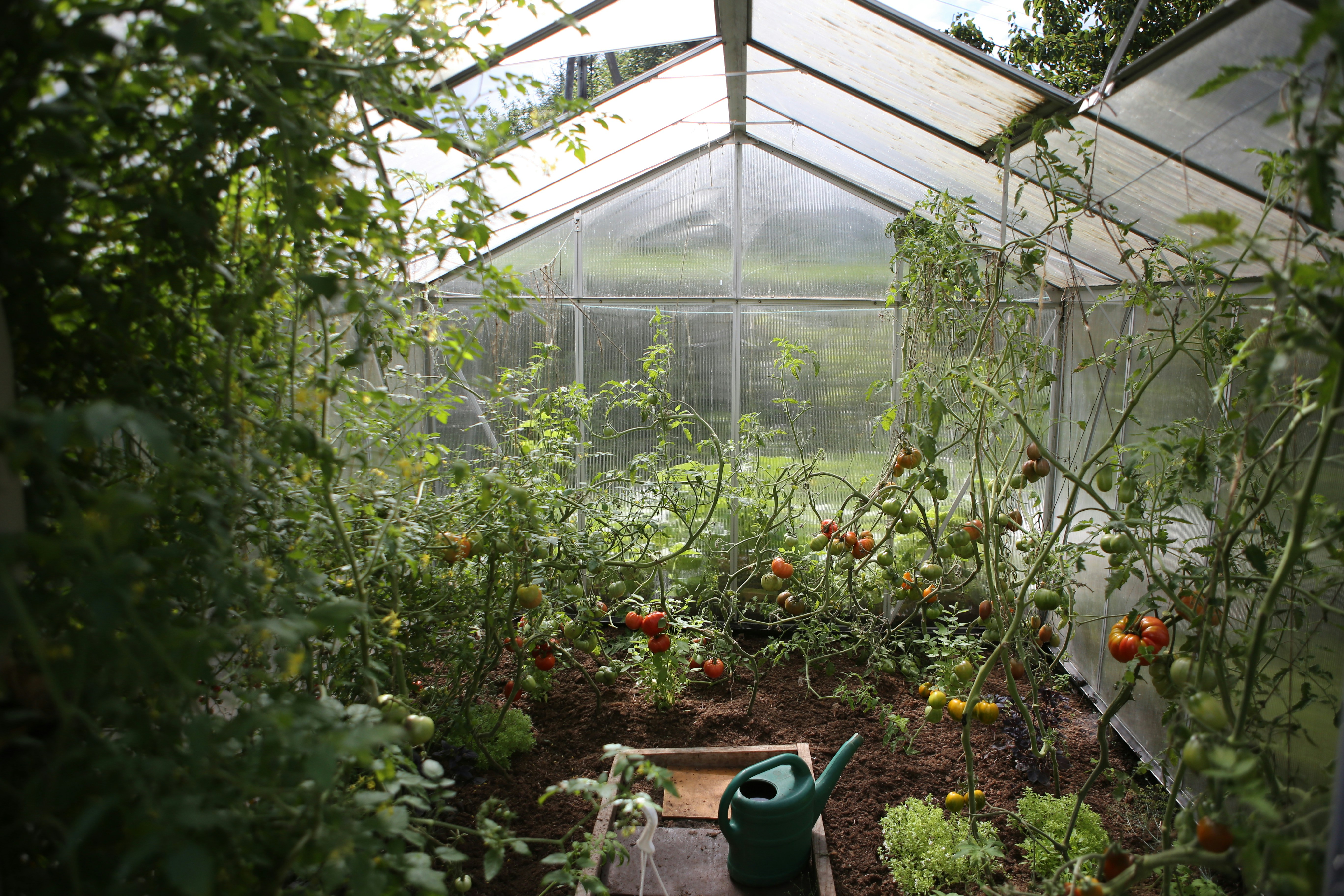 Using Shade Cloth in a Greenhouse