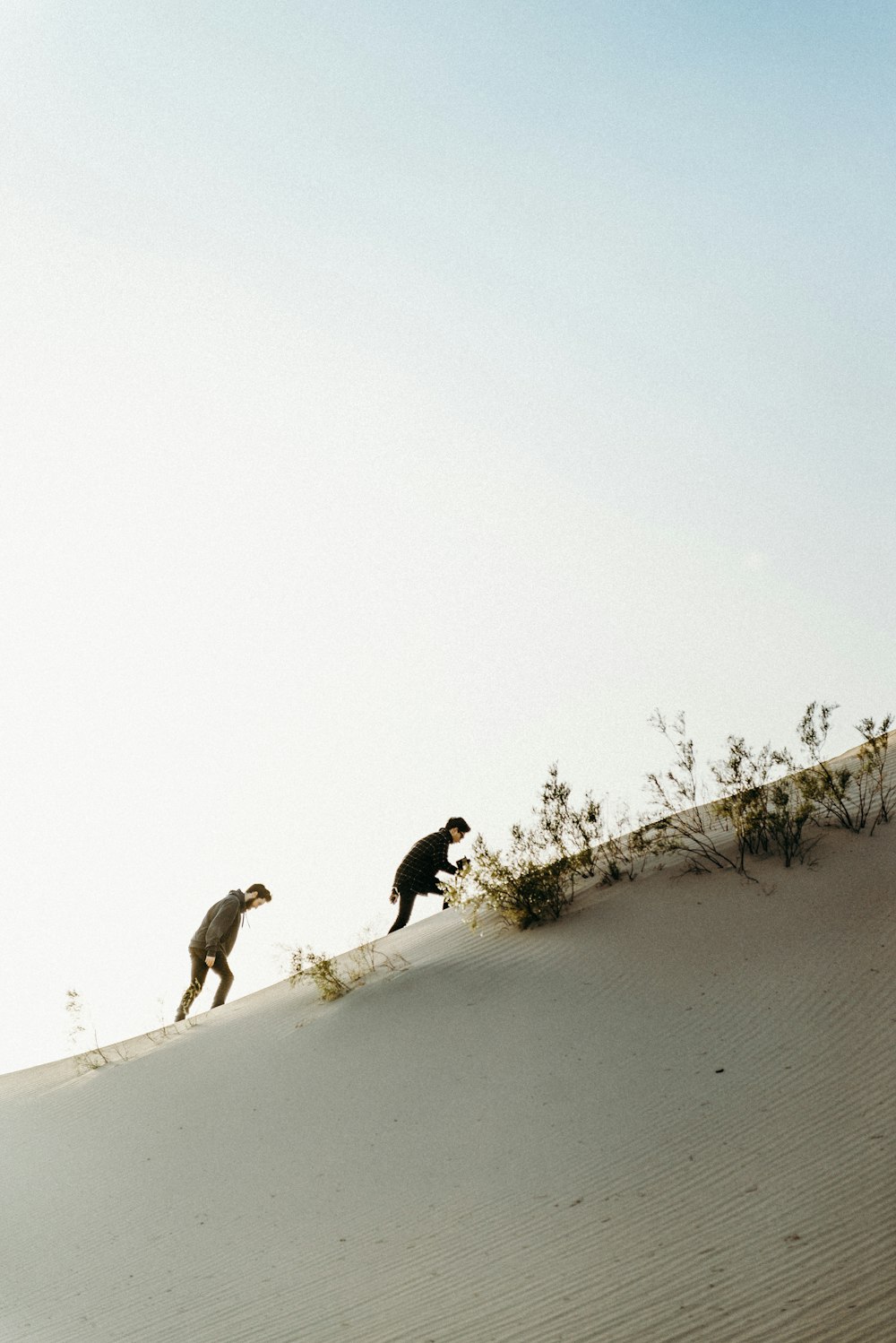 two men mountain climbing during dayting