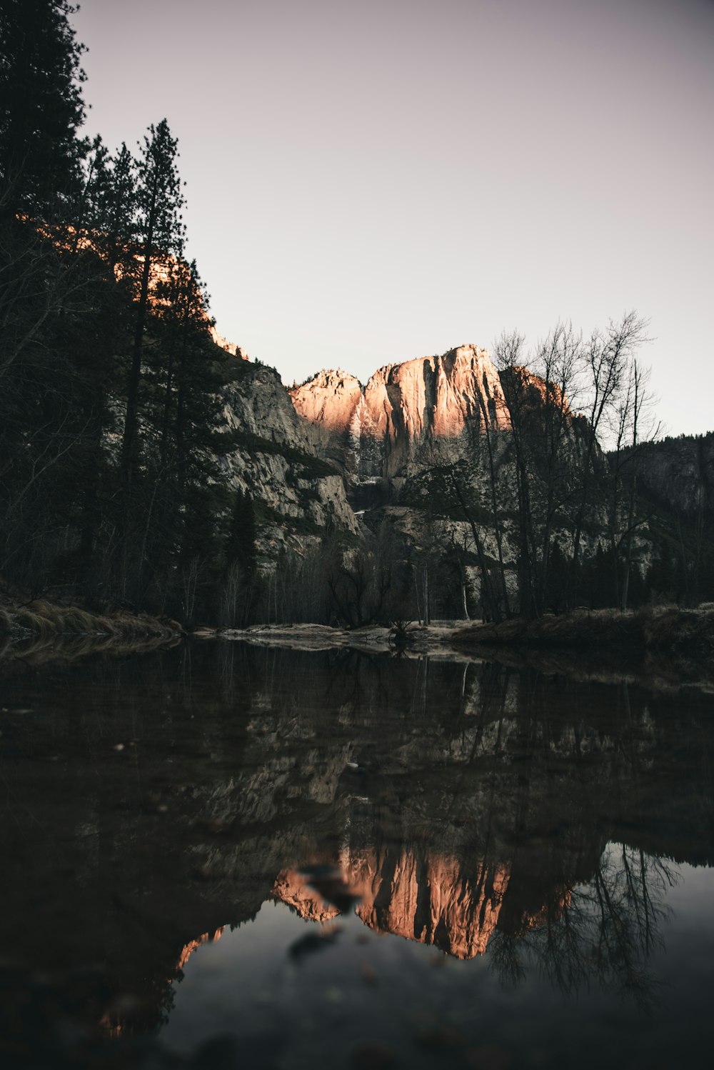 rock formation surrounded with trees