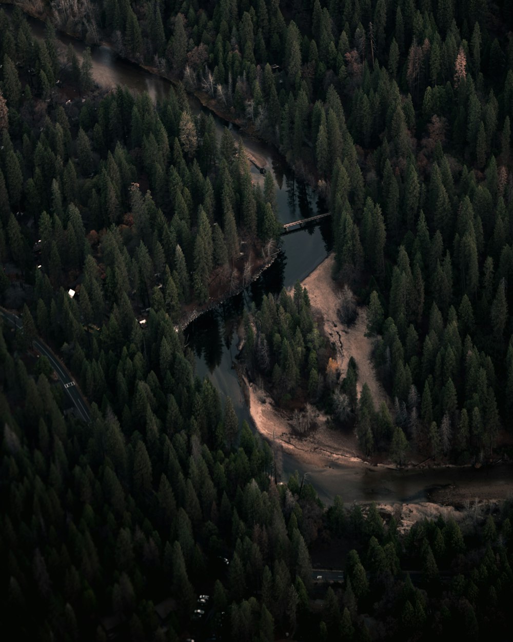 fotografia aérea da floresta verde perto do corpo de água