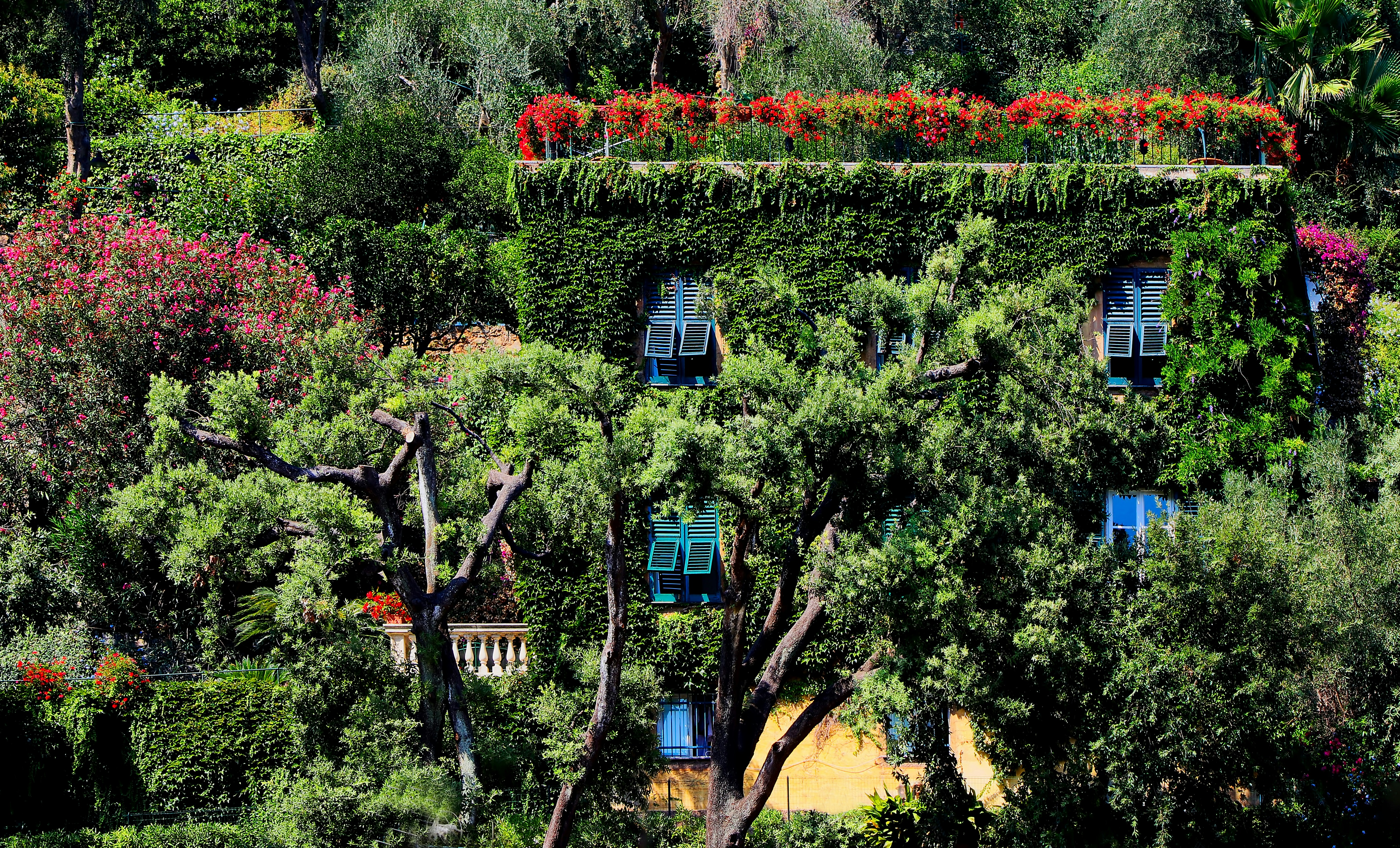 The Surprising Mental Health Benefits of Indoor Herb Gardens