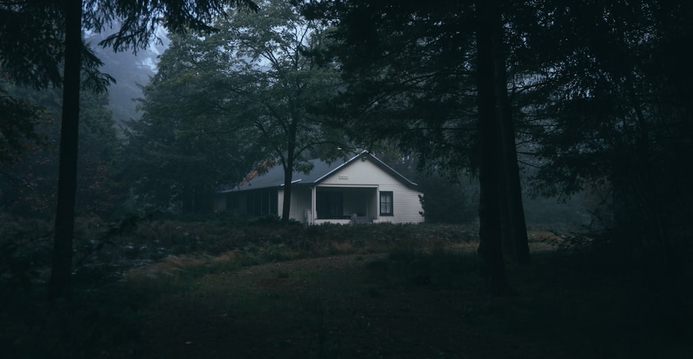 white and brown wooden house at the middle of the forest during day time