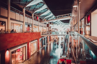 people inside building with escalator