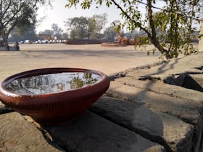 A clay bowl filled with water sits on a stone wall with reflections of nearby trees. The background features an open area with machinery and trees, suggesting a work site or outdoor industrial location.