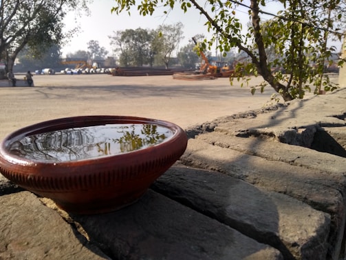 A clay bowl filled with water sits on a stone wall with reflections of nearby trees. The background features an open area with machinery and trees, suggesting a work site or outdoor industrial location.