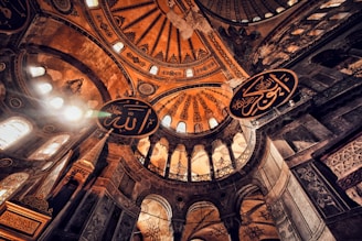 brown and black dome building